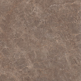 Fossil 60x60 Walnut Polished