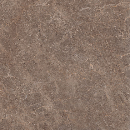 Fossil 60x60 Walnut Polished