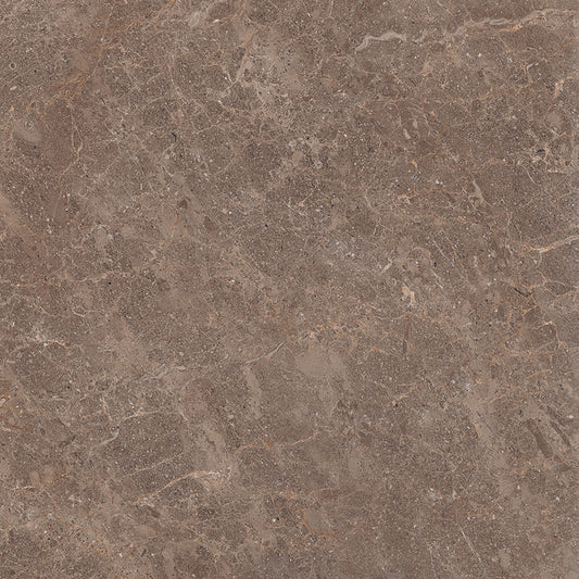 Fossil 60x60 Walnut Polished
