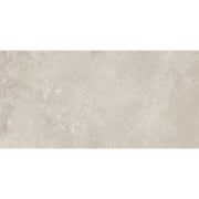 Illusion 30x60 Taupe Matt Carving R9