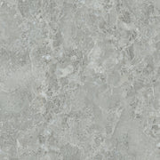 Ivy 60x60x2 Light Grey Matt R11
