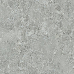 Ivy 60x60x2 Light Grey Matt R11