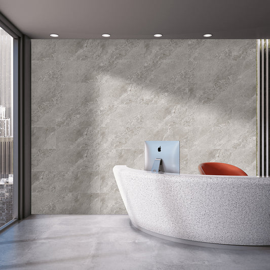 Jupiter Rock 30x60 Grey Matt R10