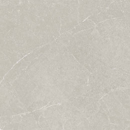 Livorno 60x60 Topo Matt