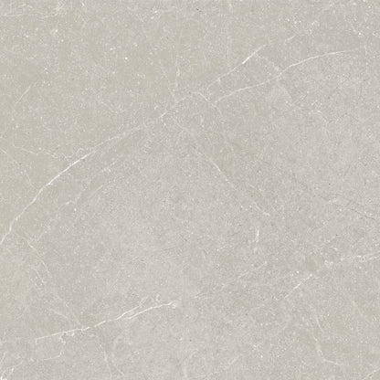 Livorno 60x60 Topo Matt