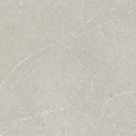 Livorno 60x60 Topo Matt
