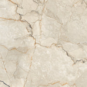 Marmo Silvestre 60x60 Beige Polished