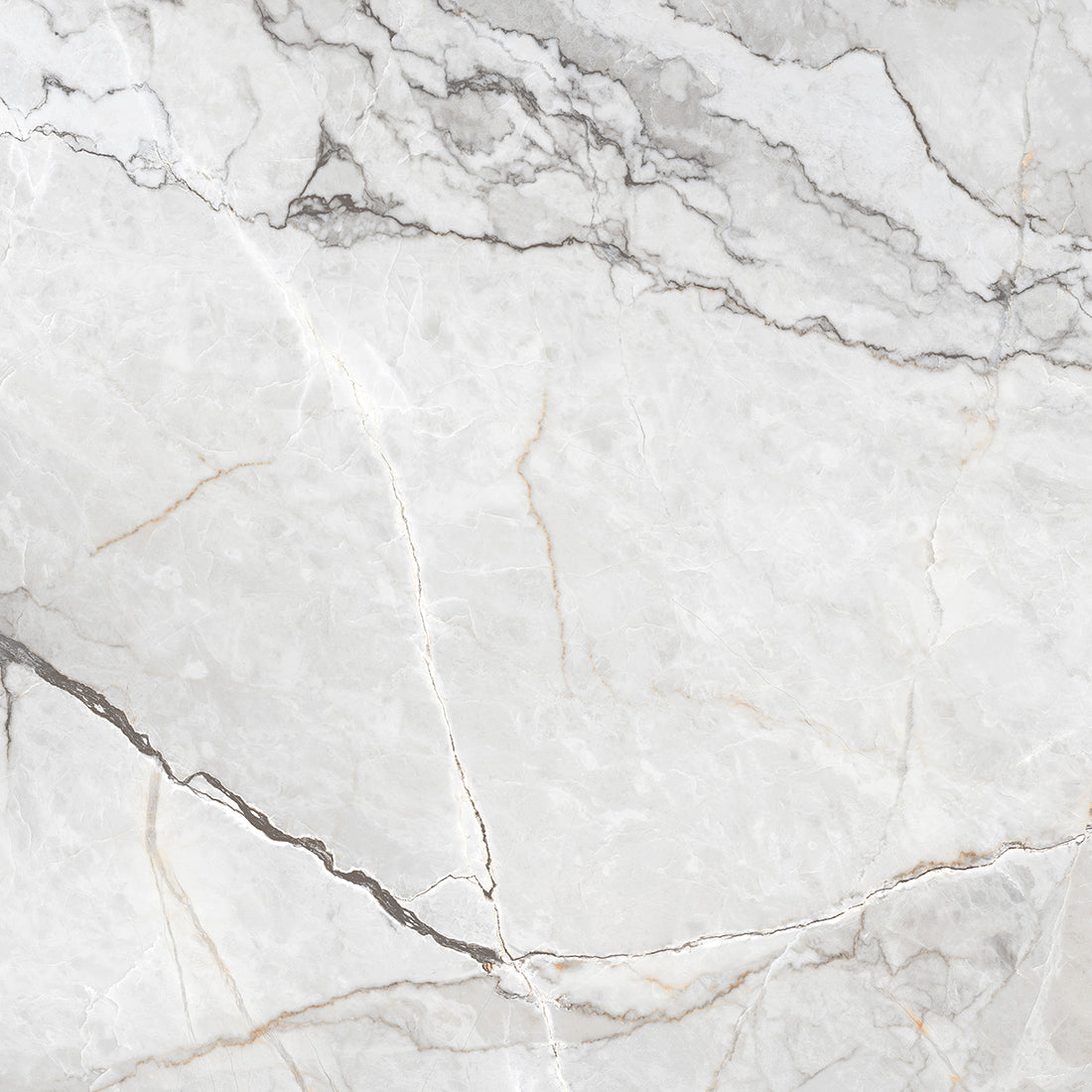 Marmo Silvestre 60x60 Pearl Polished
