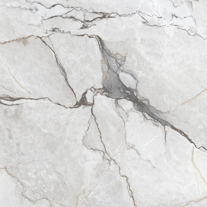 Marmo Silvestre 60x60 Pearl Matt Carving