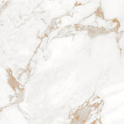 Nover 60x60 Brown Matt Carving