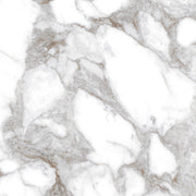 Oro Calcutta 60x60 White Polished