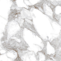 Oro Calcutta 60x60 White Polished