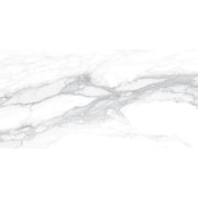 Pantheon 30x60 White Polished