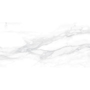 Pantheon 30x60 White Matt R10