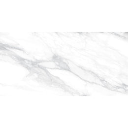 Pantheon 60x120 White Polished