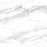 Pantheon 60x60 White Matt R10