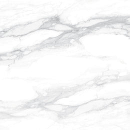 Pantheon 60x60 White Matt R10