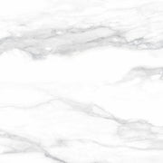 Pantheon 60x60 White Polished