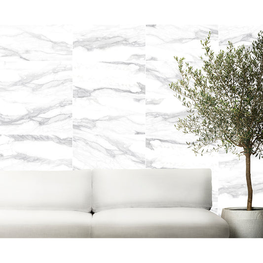 Pantheon 60x120 White Matt R10