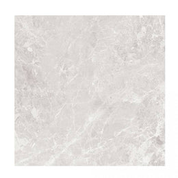 Paradise 60x60 Silver Polished