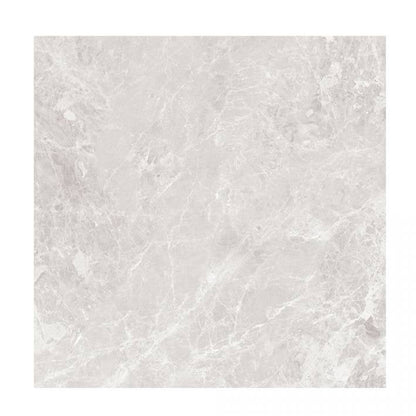 Paradise 60x60 Silver Polished