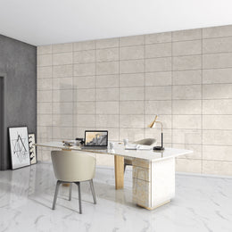Platina 30x60 Dove Polished