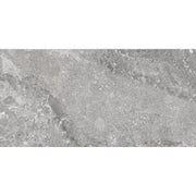Portland 30x60 Silver Matt R10