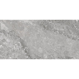 Portland 30x60 Silver Matt R10