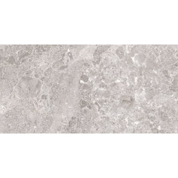 Portland 30x60 Taupe Matt R10