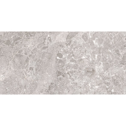 Portland 30x60 Taupe Matt R10
