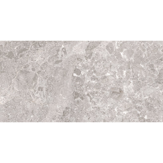 Portland 30x60 Taupe Matt R10