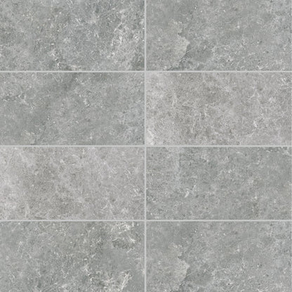 Portland 30x60 Silver Matt R10