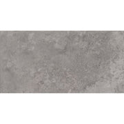 Roma 30x60 Grey Gloss