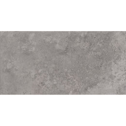 Roma 30x60 Grey Gloss