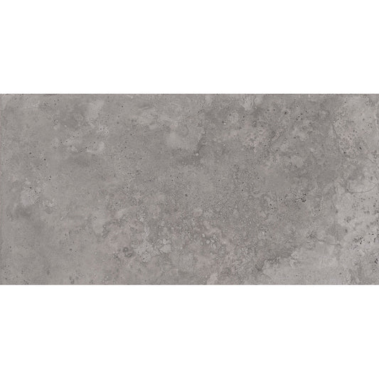 Roma 30x60 Grey Gloss