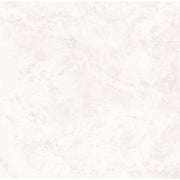 Siltstone 60x60 Blanco Matt Carving