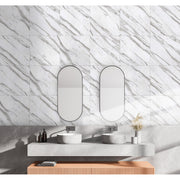 Souple 60x60 White Polished