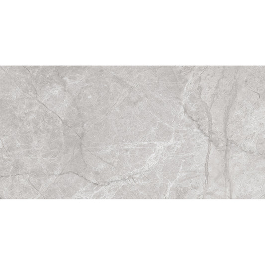 Spring 30x60 Gris Gloss