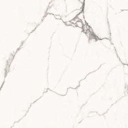 Superb Statuario 60x60 White Polished