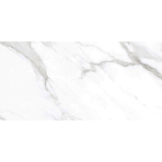 Taj Mercury 30x60 White Polished