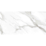 Taj Mercury 60x120 White Polished
