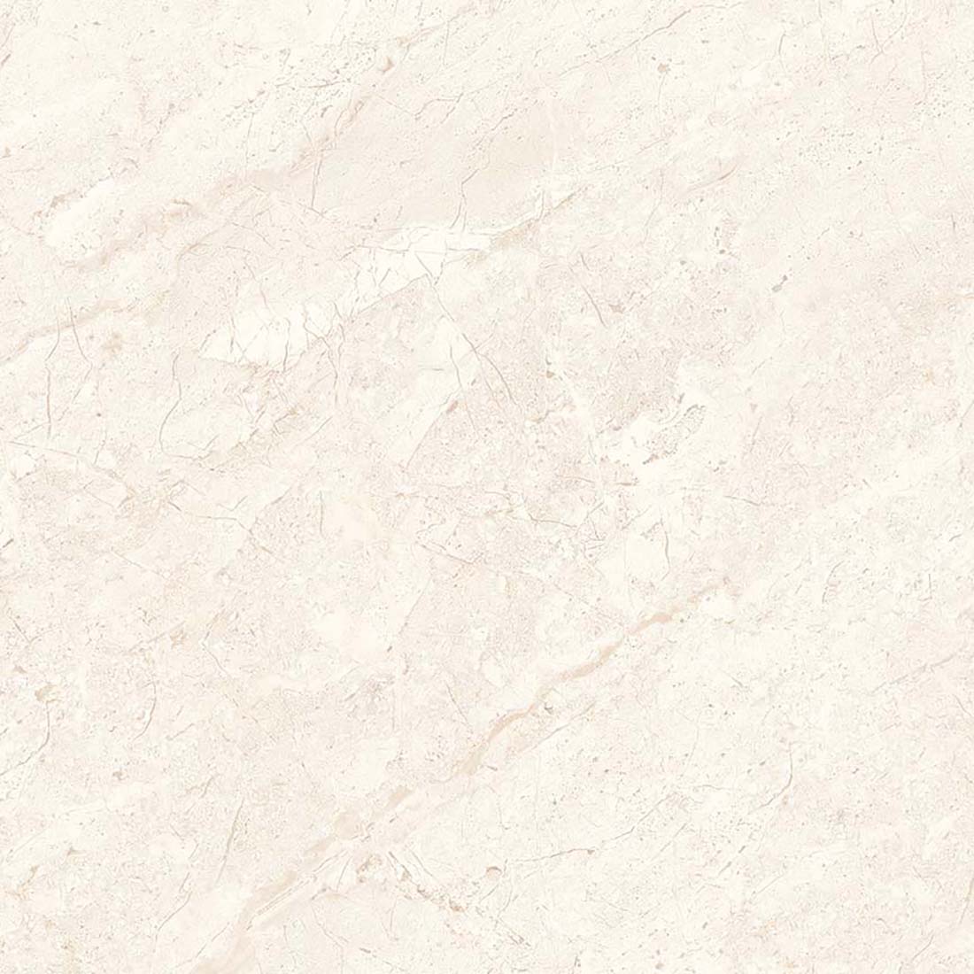 Trampoid 60x60 Cream Polished