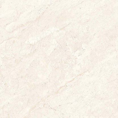 Trampoid 60x60 Cream Polished