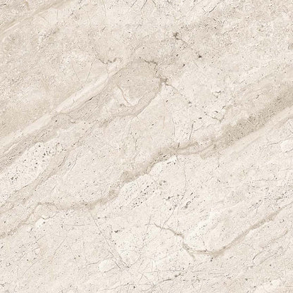 Trampoid 60x60 Ice Polished