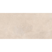 Vintage 30x60 Beige Matt R10