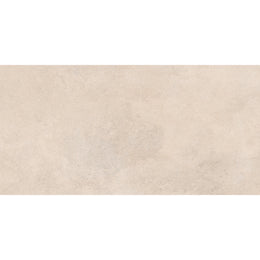 Vintage 30x60 Beige Matt R10