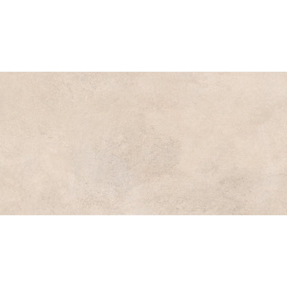Vintage 30x60 Beige Matt R10