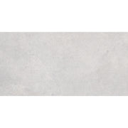 Vintage 30x60 Light Grey Matt R10