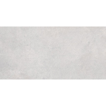 Vintage 30x60 Light Grey Matt R10
